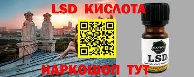 прущие грибы Заводоуковск
