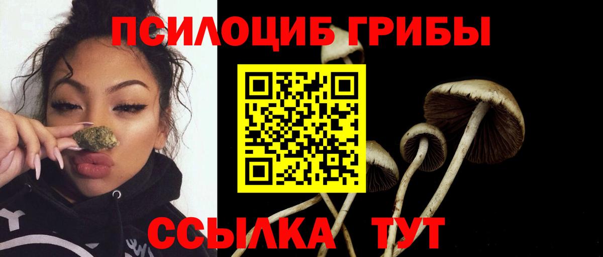 Коряжма  где можно купить   Вход с VPN  Псилоцибиновые грибы Cubensis  Галлюциногенные грибы ЛСД 